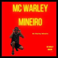 Mc Warley Mineiro - bumbum remix instrumental (Explicit)