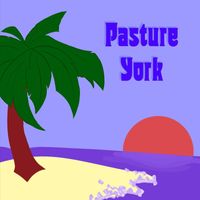 Pasture York - The Beginning of Something Nice