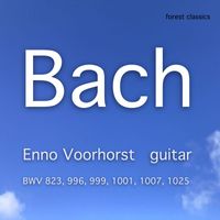 Enno Voorhorst - Bach