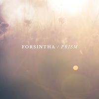 Forsintha - Prism