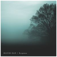 David Elo - Response