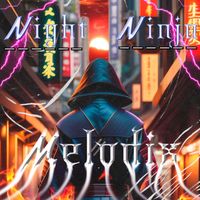 Melodix - Night Ninja
