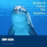 DJ Alex B - Follow the Dolphins