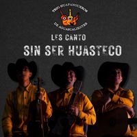 Trio Huapangueros de Aguascalientes - Les Canto Sin Ser Huasteco