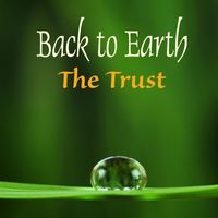 Back to Earth - The Trust