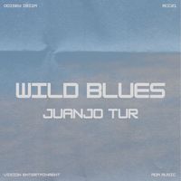 Juanjo Tur - Wild Blues