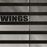 FaultLines - Wings