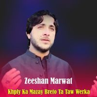 Zeeshan Marwat - Khply Ka Mazay Breto Ta Taw Werka