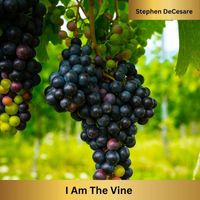 Stephen DeCesare - I Am the Vine