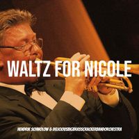 Hendrik Schwolow & DeliciousBigBrassCrackerBandOrchestra - Waltz for Nicole