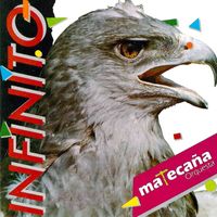 Matecaña Orquesta - Infinito