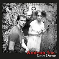 Amiram Eini - Little Defects