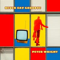 Peter Wright - Never Say Goodbye
