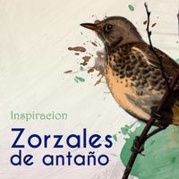 Aníbal Troilo - Zorzales de Antaño… Inspiracion