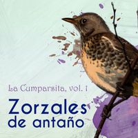Varios Artistas - Zorzales de Antaño… La Cumparsita, Vol. 1
