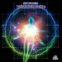 Psynecdoche - Own Teachers