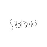 Stinky - Shotguns - The Debut