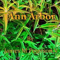 James M Peterson V - Ann Arbor