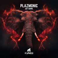 Plazmonic - Get Down