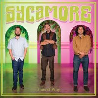 Sycamore - Time of Why