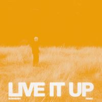33 Below - LIVE IT UP (Bushbaby Remix)