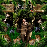 Colin - One Night In The Jungle (Jungle King Special Disko Edition)