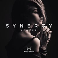 XENEZE - Synergy