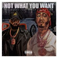 Moe Money featuring Dj Big Stew and Benny The Butcher - Not What You Want {This Aint) (Explicit)
