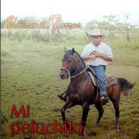 Villamil Torres - Mi Peluchito