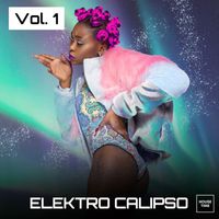 Various Artists - Elektro Calipso, Vol. 1