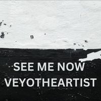 Veyotheartist - See Me Now