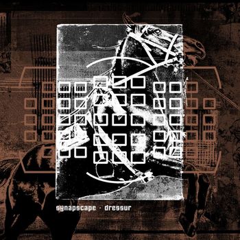 Synapscape - Dressur