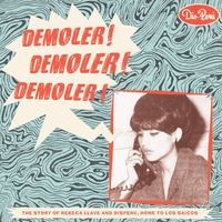 Various Artists - DEMOLER! DEMOLER! DEMOLER!