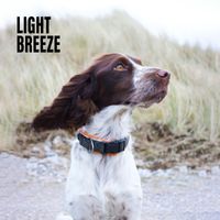 Nature Therapy - Light Breeze