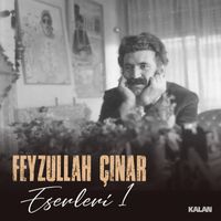 Various Artists - Feyzullah Çınar Eserleri 1