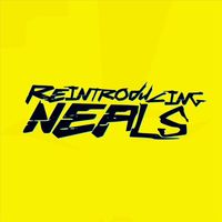 Amplitude Problem - Reintroducing Neals (feat. YTCracker)