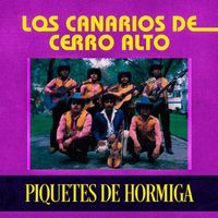 Los Canarios de Cerro Alto - Piquetes de Hormiga