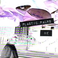 Plastic Palms - HK
