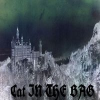 BabyMan - Cat In The Bag (Explicit)