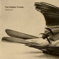 Sparrow Orange - The Hidden Tracks, Vol. 1