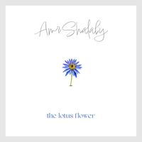 Amr Shalaby - The Lotus Flower