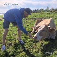 Dimitri Veimar - Imena