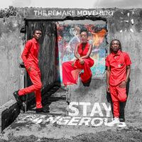 The Remake Movement - Stay Dangerous