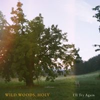 Wild Woods, Holy - I'll Try Again (Acoustic Version)