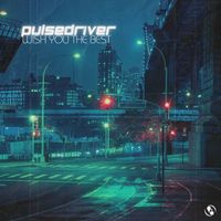Pulsedriver - Wish You The Best