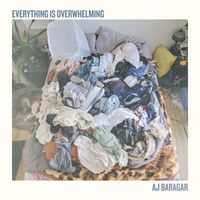 AJ Baragar - Everything Is Overwhelming