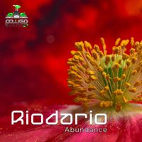 Riodario - Abundance