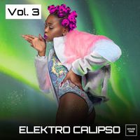 Various Artists - Elektro Calipso, Vol. 3