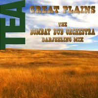 Tea - Great Plains (Bombay Dub Orchestra Darjeeling Mix)