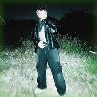 Vilks - ØÜŤÇÄŠŤ